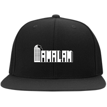 FamLogo2 Snapback Hat