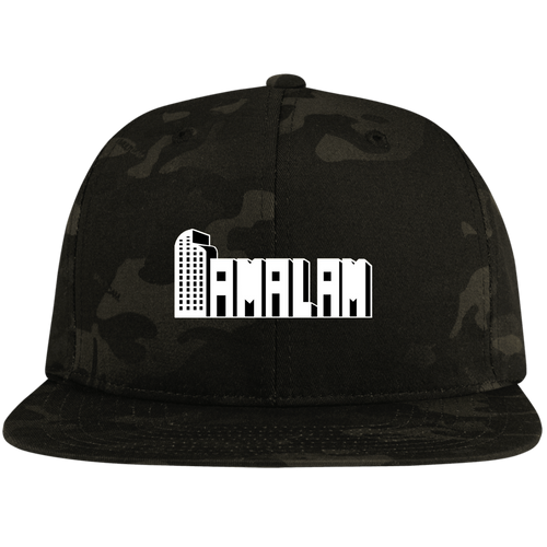 FamLogo2 Snapback Hat