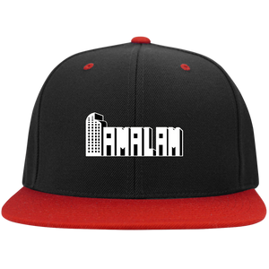 FamLogo2 Snapback Hat